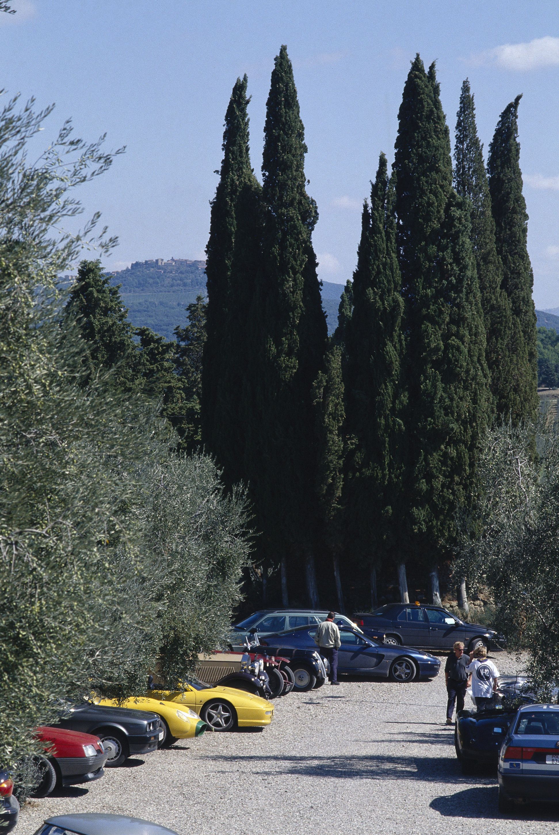 Louis Vuitton ha riportato in vita lo storico rally delle Dolomiti Dal 1 al 4 settembre la gara di regolarità per auto storiche attraversa Veneto e Dolomiti fino all'Autodromo di Monza | Image 619361