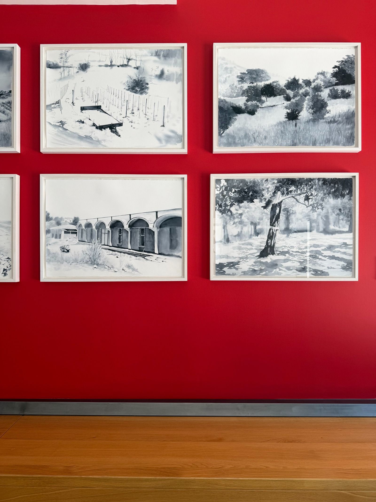Feudi di San Gregorio costruisce il futuro partendo dalla memoria La cantina che trasforma l'Irpinia in eredità viva, tra vigne, architettura e arte | Image 619589