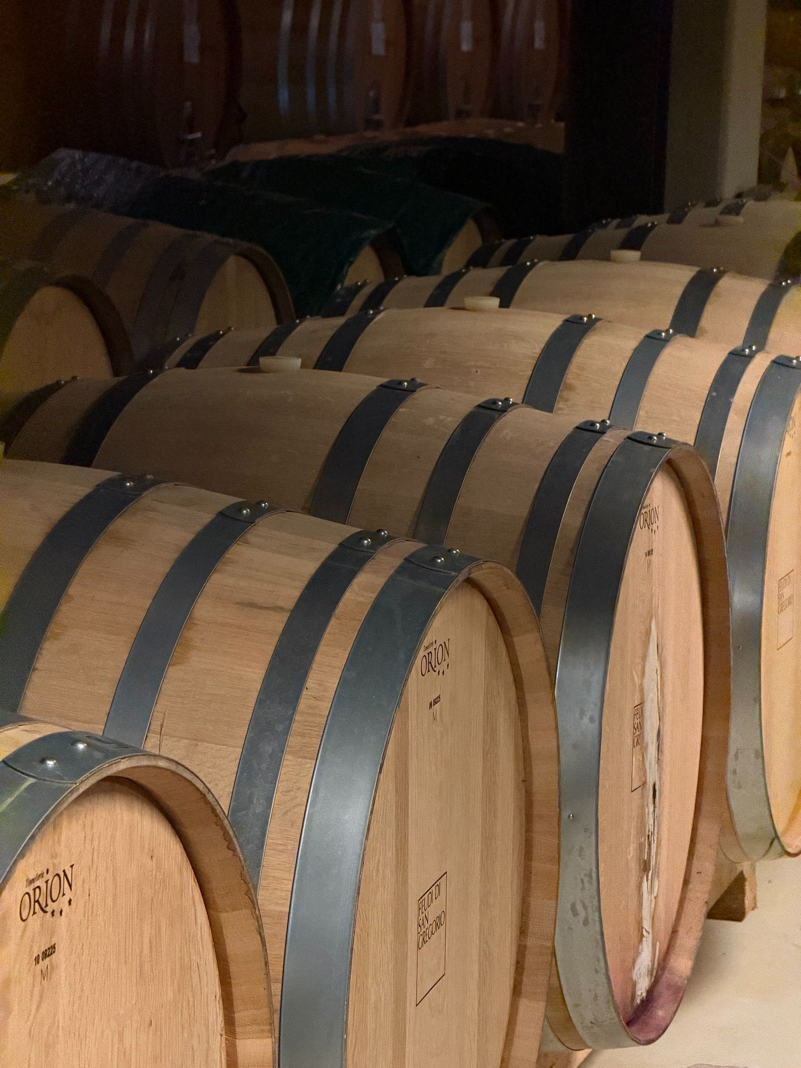 Feudi di San Gregorio costruisce il futuro partendo dalla memoria La cantina che trasforma l'Irpinia in eredità viva, tra vigne, architettura e arte | Image 619586