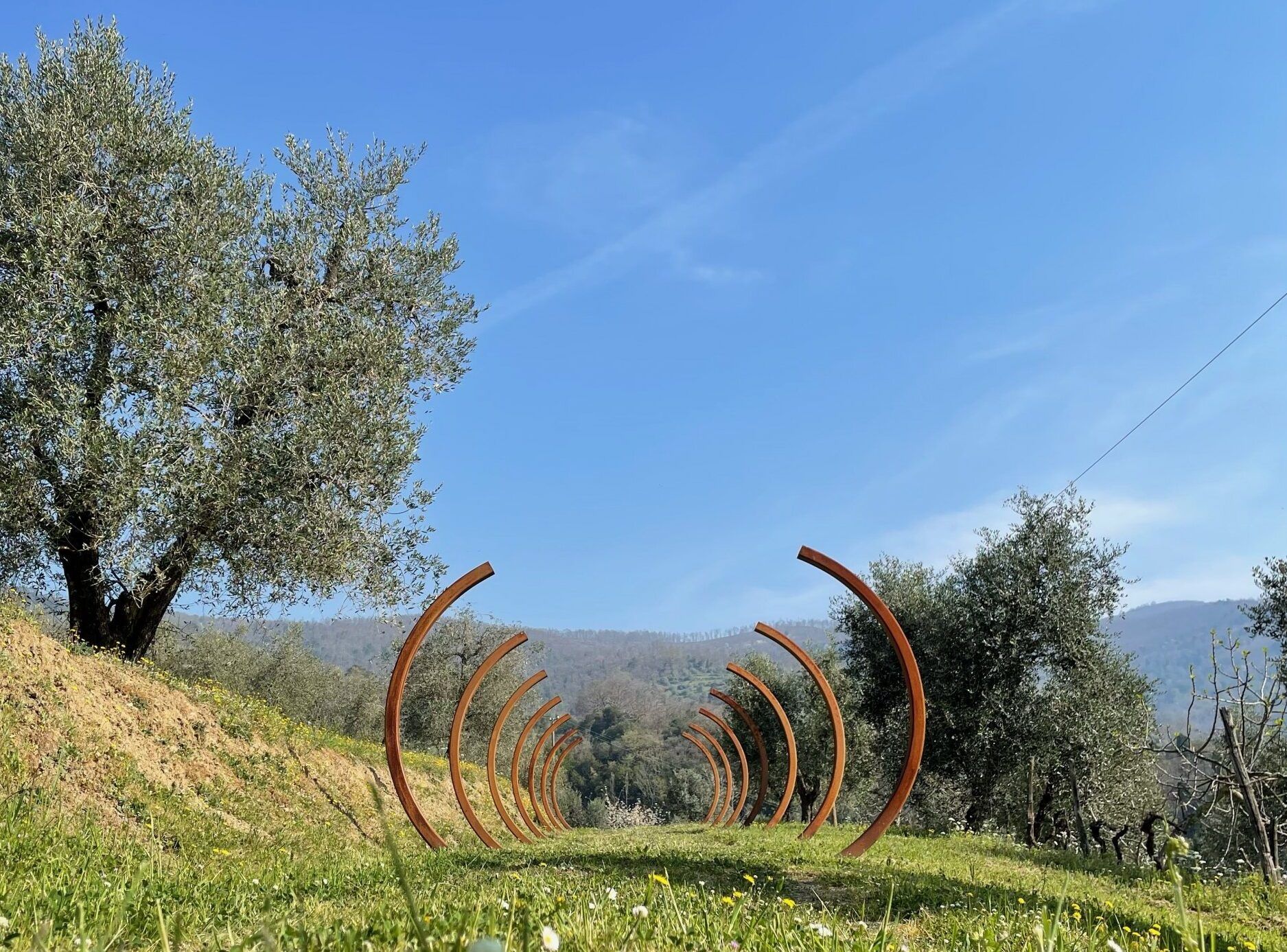 Cinque fughe da Firenze per scoprire la Toscana Dai boschi d'arte di Celle alla libreria di Lucignana, itinerari tra borghi fantasma e architetture visionarie | Image 619922