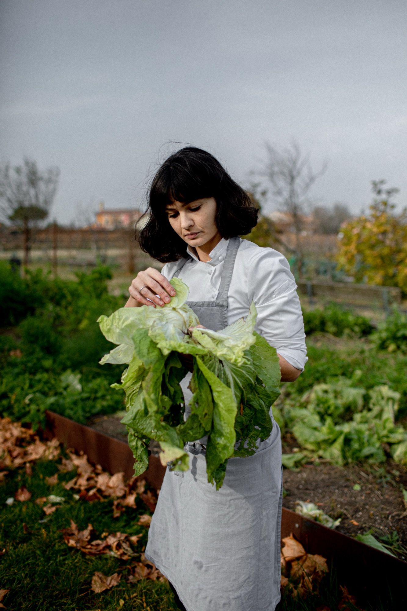 «Fare alta cucina oggi significa avere una responsabilità», intervista a Chiara Pavan La chef che al Festival della Mente racconta come cambiamento climatico e biodiversità stanno trasformando l’alta cucina | Image 620070
