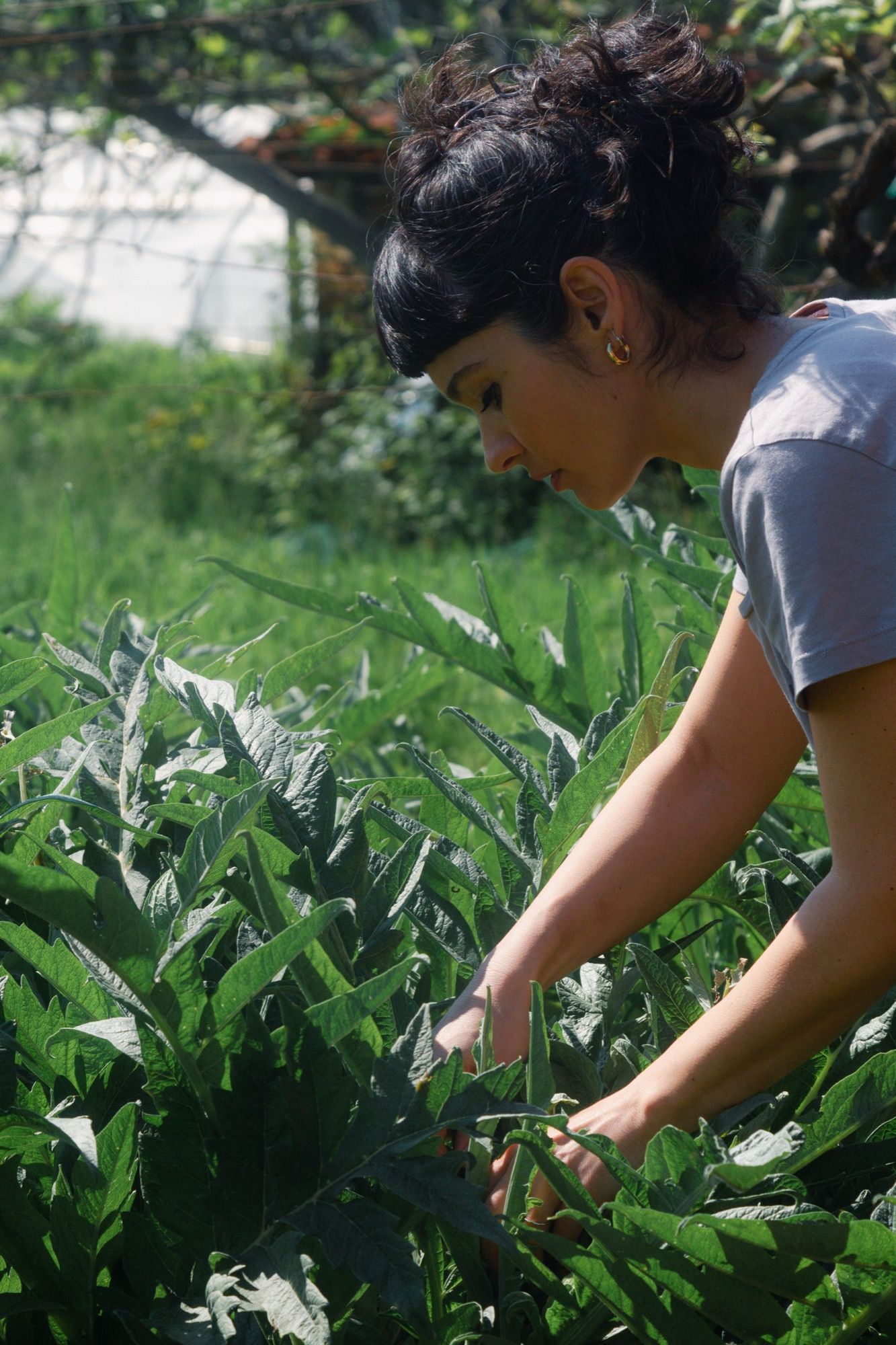«Fare alta cucina oggi significa avere una responsabilità», intervista a Chiara Pavan La chef che al Festival della Mente racconta come cambiamento climatico e biodiversità stanno trasformando l’alta cucina | Image 620069