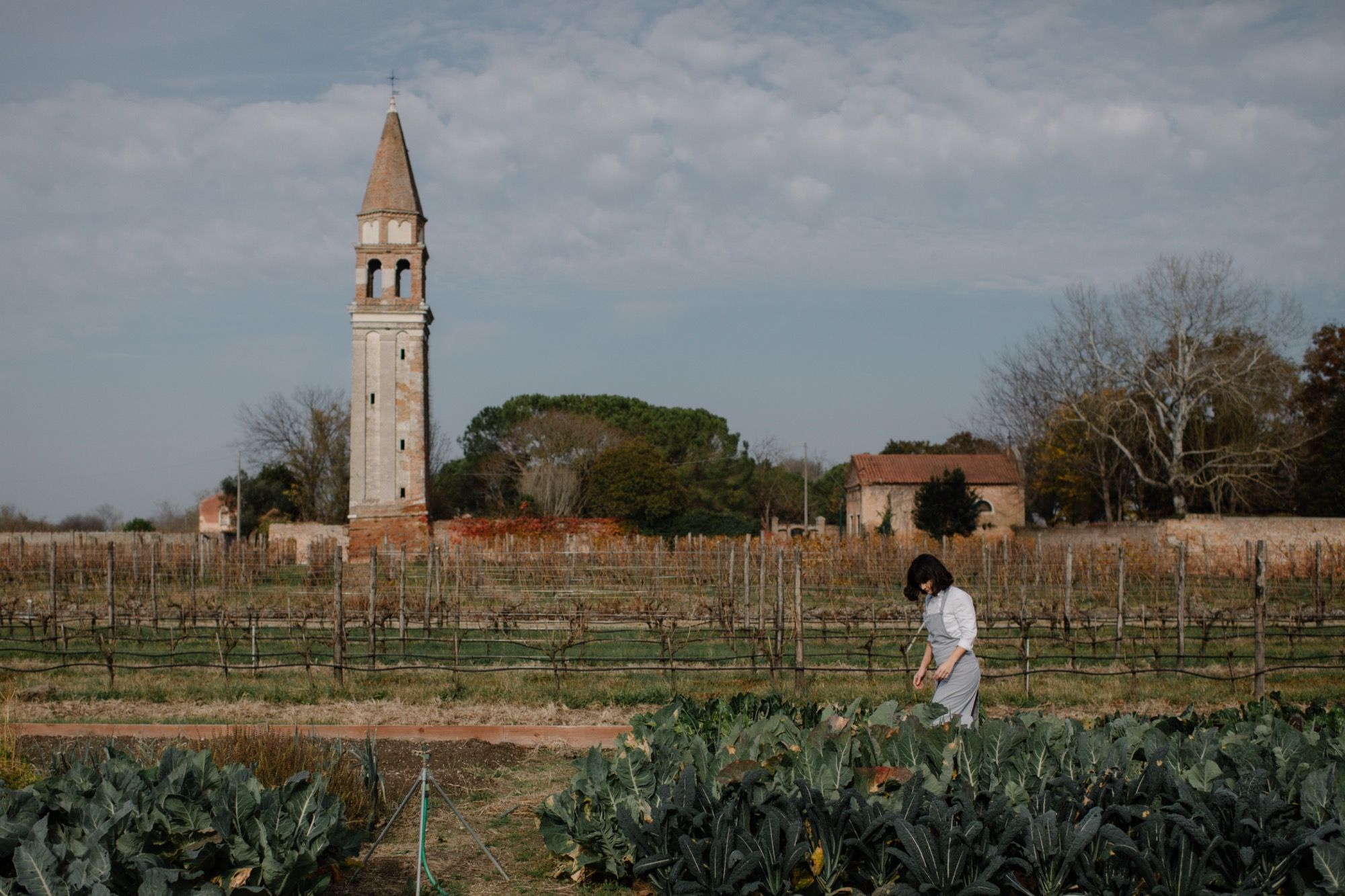 «Fare alta cucina oggi significa avere una responsabilità», intervista a Chiara Pavan La chef che al Festival della Mente racconta come cambiamento climatico e biodiversità stanno trasformando l’alta cucina | Image 620068