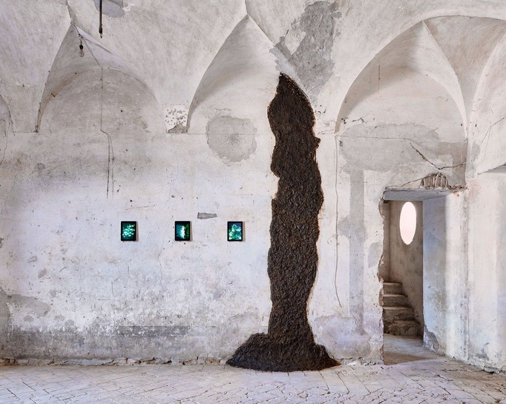 I musei più strani d’Italia che forse non conoscevi Dalla collezione di teschi umani di Cesare Lombroso allo spazio espositivo interamente dedicato a deiezioni bovine
