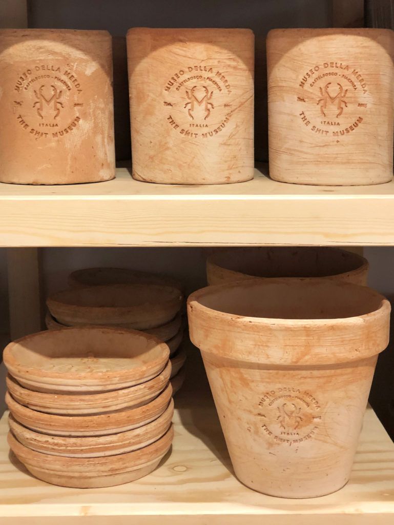 I musei più strani d’Italia che forse non conoscevi Dalla collezione di teschi umani di Cesare Lombroso allo spazio espositivo interamente dedicato a deiezioni bovine