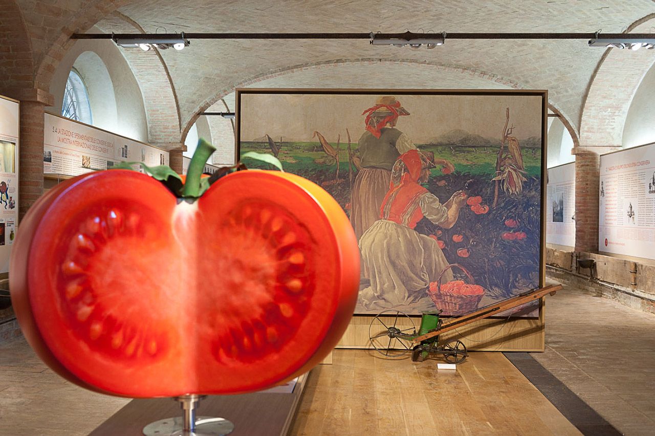 I musei più strani d’Italia che forse non conoscevi Dalla collezione di teschi umani di Cesare Lombroso allo spazio espositivo interamente dedicato a deiezioni bovine